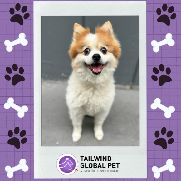 Meet your Posher, Lisa.  Hi everyone!! I hope u like my closet!! - Picture 2 of 16